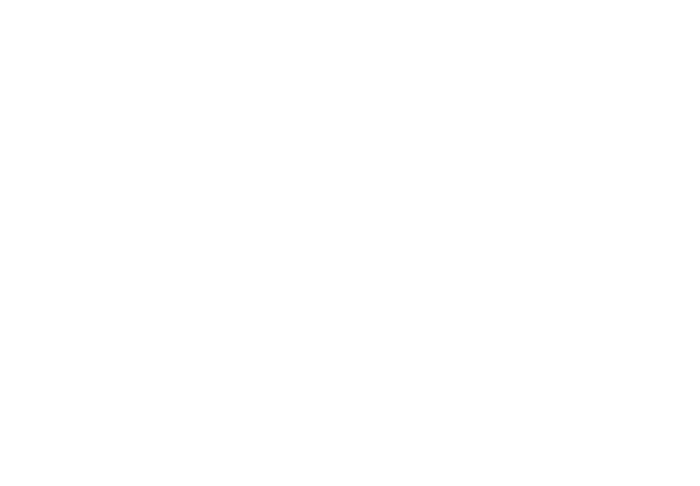 Forma decorativa